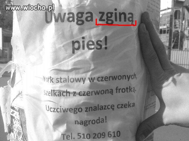 Bo najważniejsza..