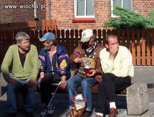 Prawie jak Wilkowyje...