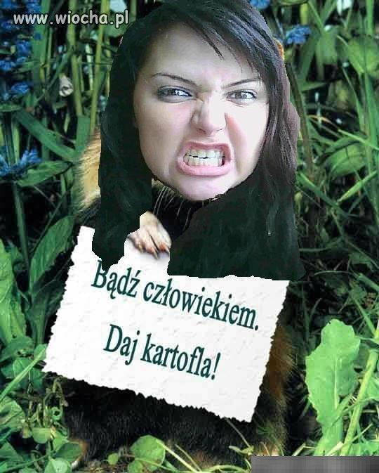 Mistrzyni painta.