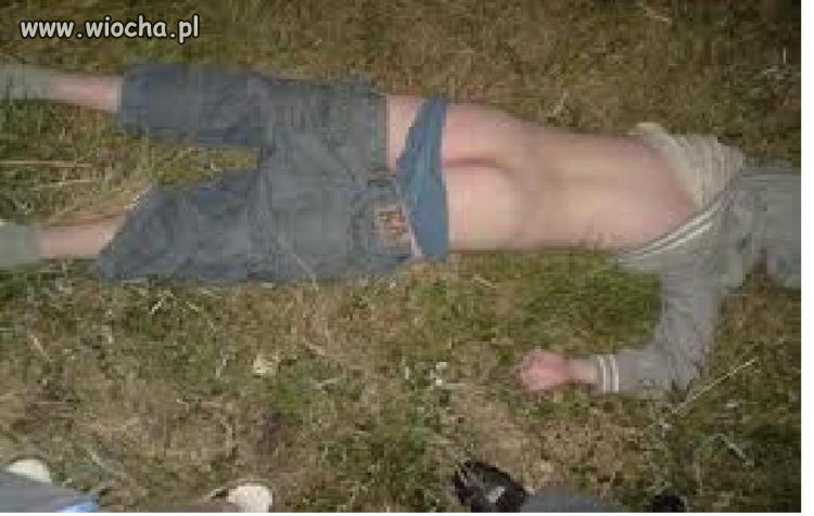 Pijany jak meser szmit 