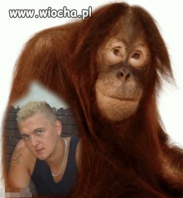 łańcuch, tatuaż, farbowany blond...