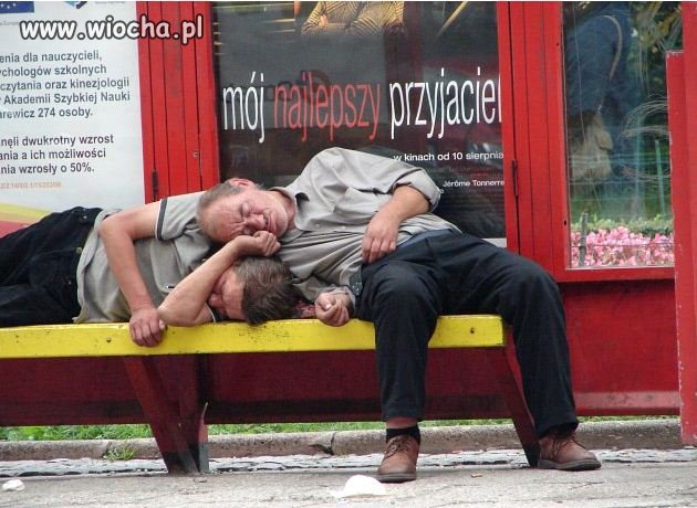 Mój najlepszy przyjaciel !!!