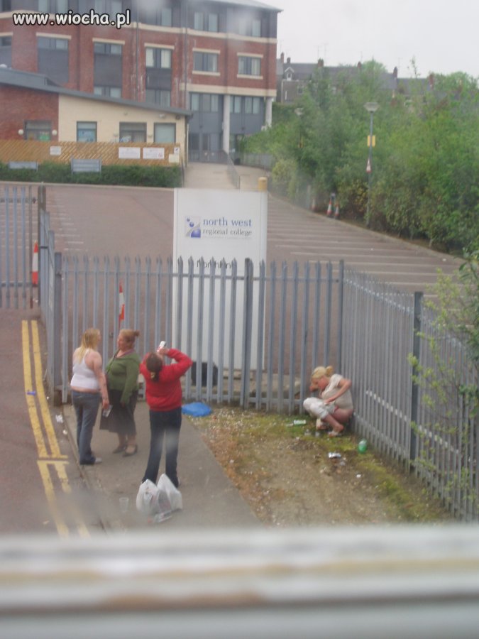 Widok z okna