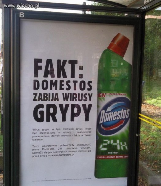 Domestos zabija wirusy grypy.