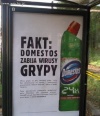 Domestos zabija wirusy grypy.