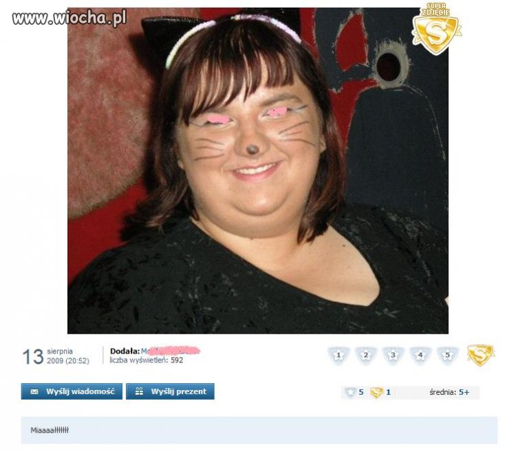 Kocica