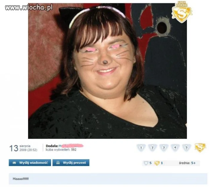 Kocica