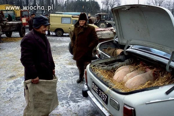 Nad czym się tu zastanawiać?