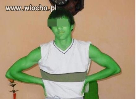 Syn Shreka i Fiony
