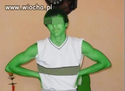 Syn Shreka i Fiony