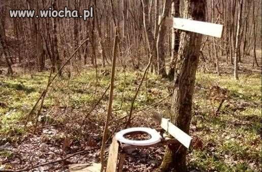 Nie ma to jak toaleta w lesie 
