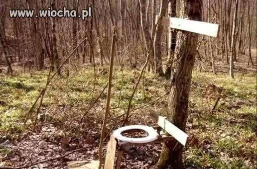 Nie ma to jak toaleta w lesie 