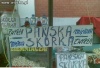 Pańska skórka.