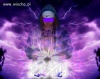 Ziboy mistrz photoshopa