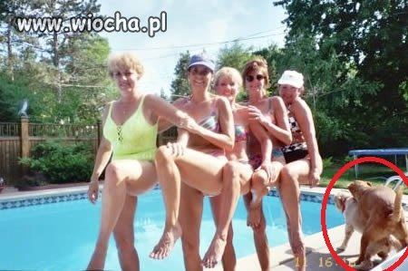 Mistrzowie drugiego planu.