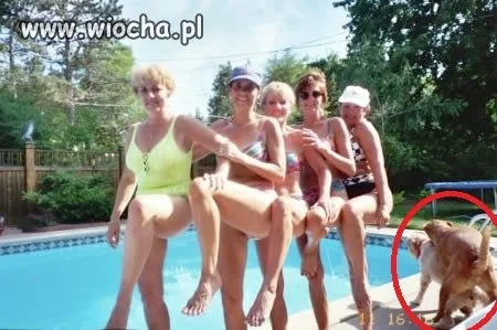 Mistrzowie drugiego planu.