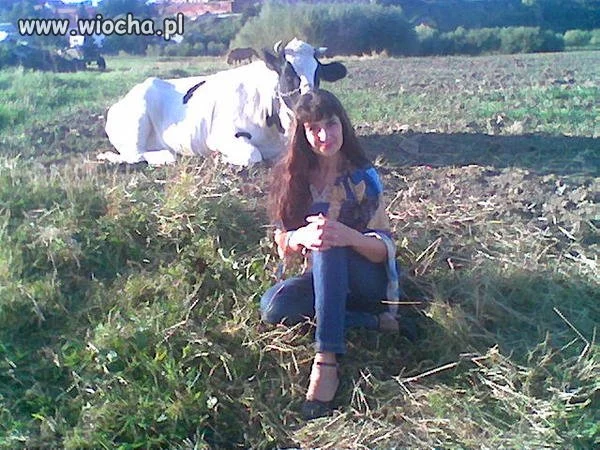Muuu