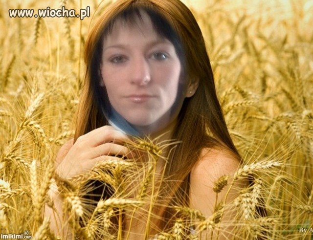 Zbożowa Panienka.