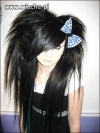 EMO-PANDA