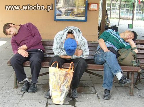 Żule