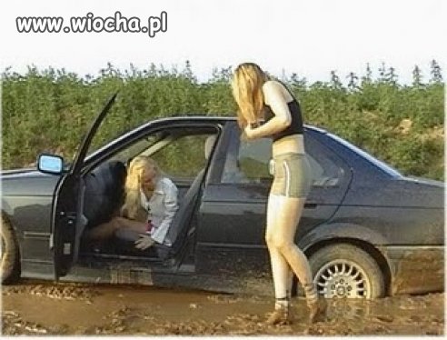 Dwie blondynki... To mówi samo za siebie.