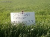SpSZedam?  Analfabetyzm 3 stopnia 