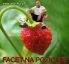 Facet na poziomie czyli...