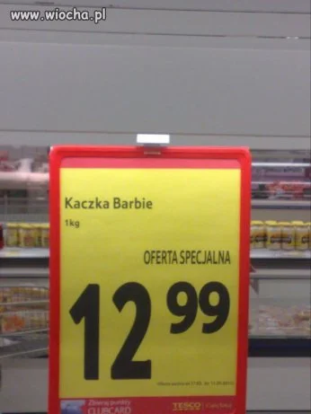 NOWA BARBIE JAKO