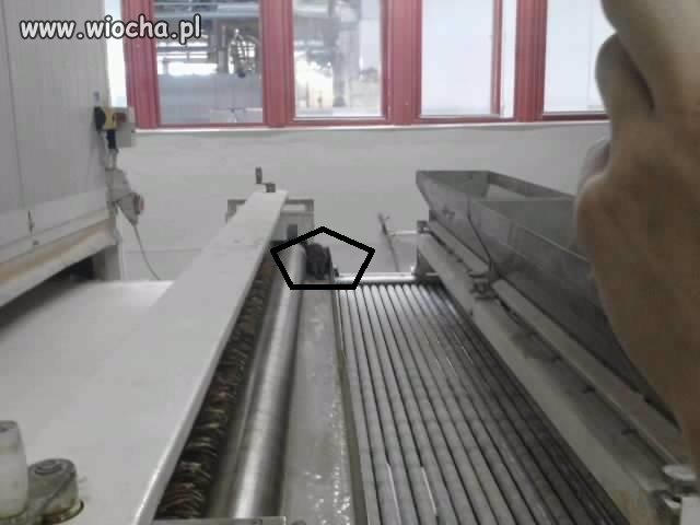 Szczury w piekarni 