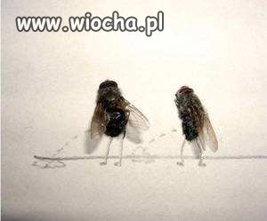 Nuda w biurze