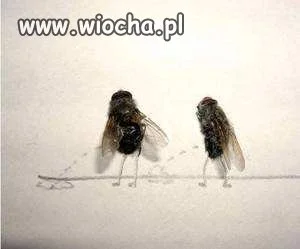 Nuda w biurze
