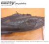 Tytuł nad zdjęciem mówi sam za siebie