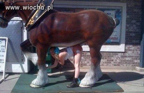 Prawie jak Caryca