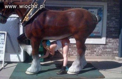 Prawie jak Caryca