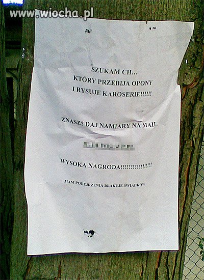 Widziałeś napisz