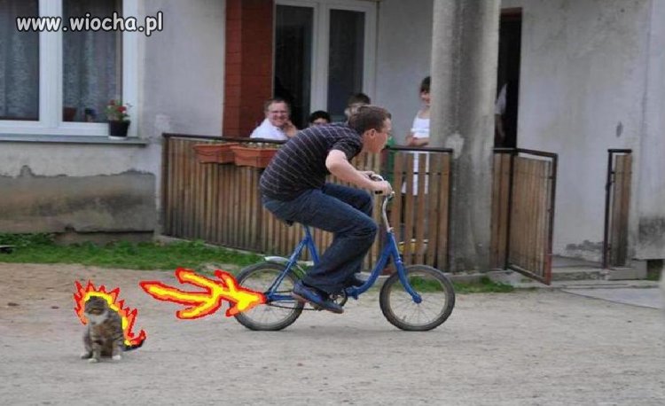 Mistrz Painta i oczywiście fajny rower.