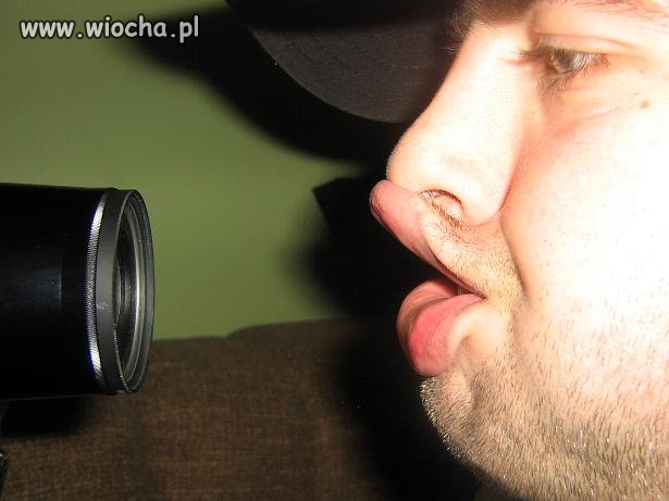 Dzióbek kaczy