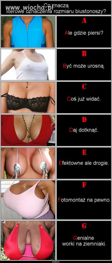 Alfabet 