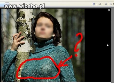 Leśna sesja