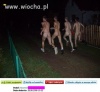 Hmm... Trudno wyczaić o co ''biega''