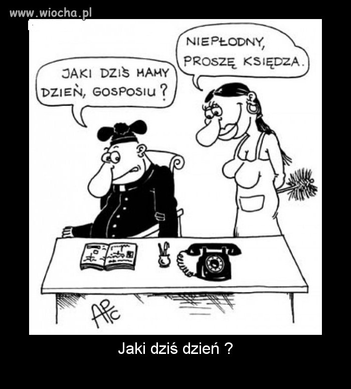 Nie ma głupich pytań