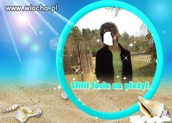 Słit focia na plaży