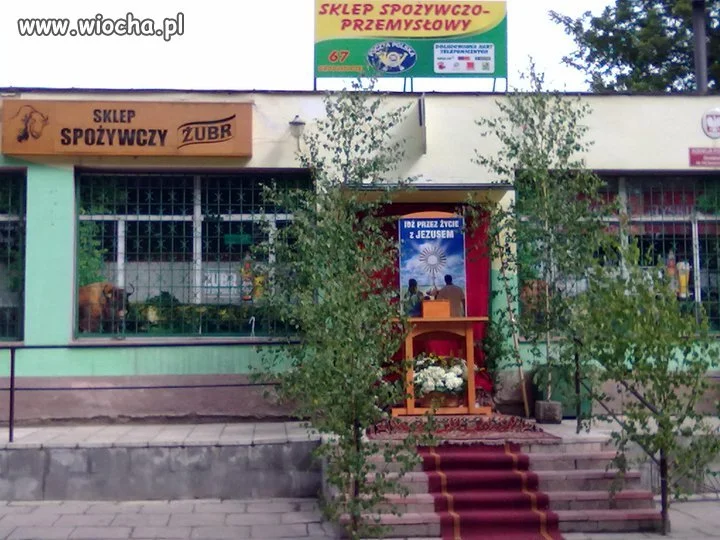 Idź przez życie z żubrem.