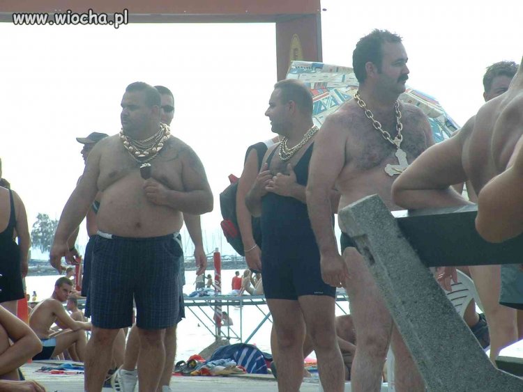 Wożonko na plaży 