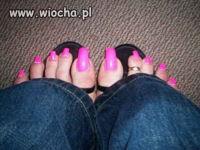 Tipsy na nogach 
tipsy na nogach 