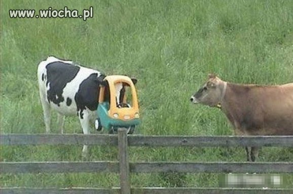 A na wiosce...
