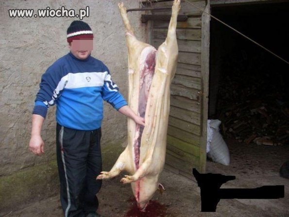 Zdjęcie skomentowane przez właściciela