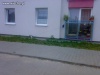 Kotek