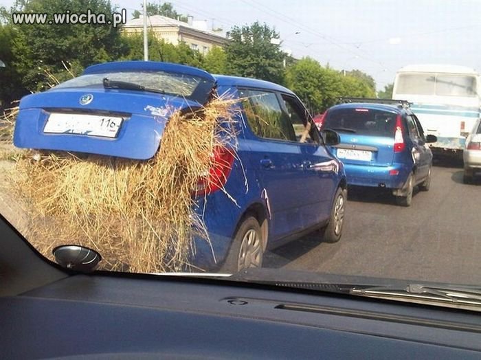 Żniwa..