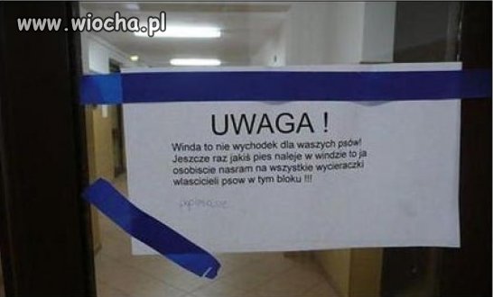 Polskie realia